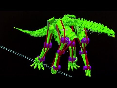竜脚類はどのようにして体重を支えたのでしょうか? BBCのニュース