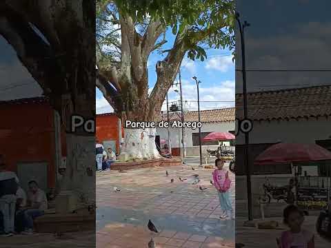 Abrego norte de Santander #campo