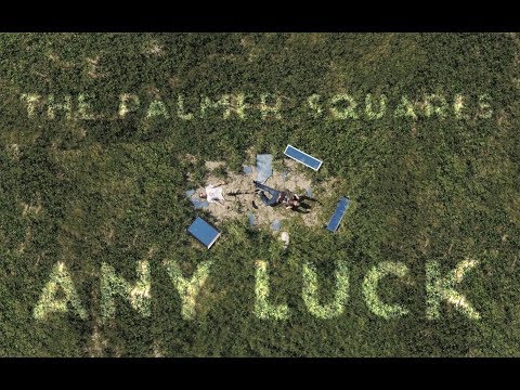 The Palmer Squares - Any Luck? (Official Music Video)