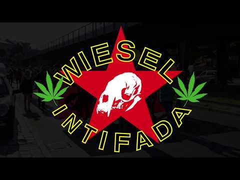 Thomas Dillinger (Wiesel Intifada) & Samuel Reichstag - Gib mir das Weed