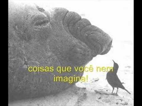 Um Dia Daqueles video