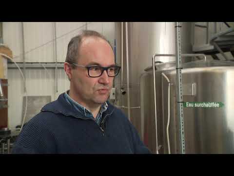 La bière de la brasserie Katsbier à Méteren gagne une médaille d'or