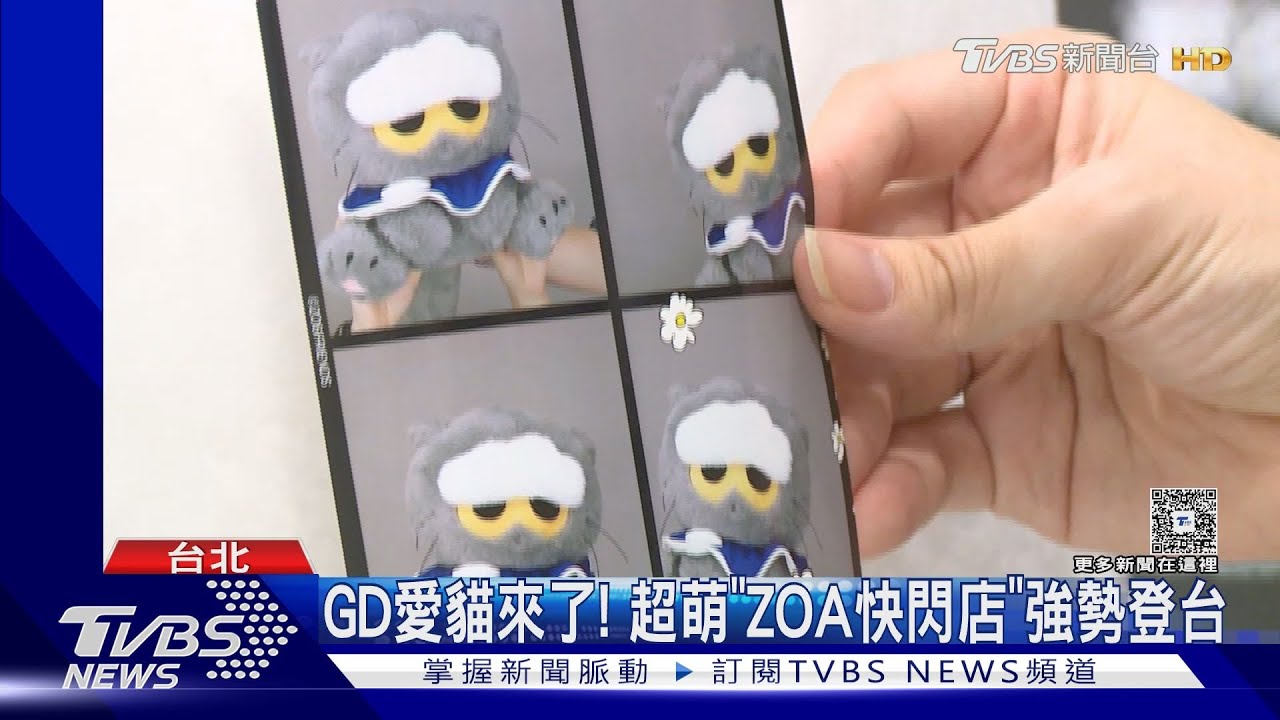 GD愛貓來了!「ZOA快閃店強勢登台」粉絲早起排隊:周邊我全包