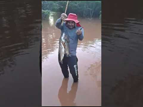 Zé do facão pesca mas de 777 peixe riacho grande macururė Bahia