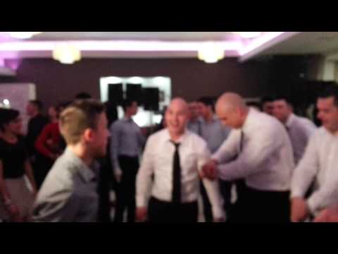 Gangam stajl dubrava