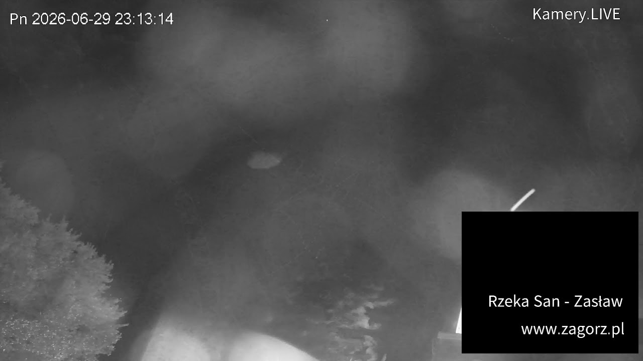 Live webcam view of Río San en Zagórz para pescadores