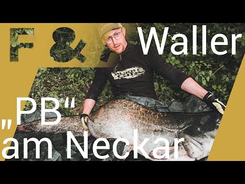 Jawooohhhlll Teamwork beim Wels Angeln am Neckar👍🏻 Neue Montage hat Erfolg gebracht | Petri Andi 😁🐟🐬