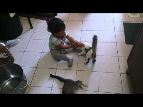Raisya and the cats