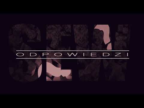 SEW - Odpowiedzi