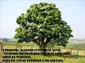 Mensagens de reflexão - Felicidade e Sonhos