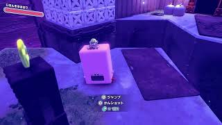 【野蛮実況】星のカービィディスカバリーを実況プレイ　Part34