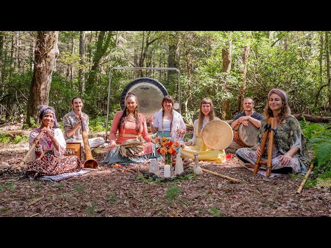 33-Minute Forest Sound Journey - Dream Seed