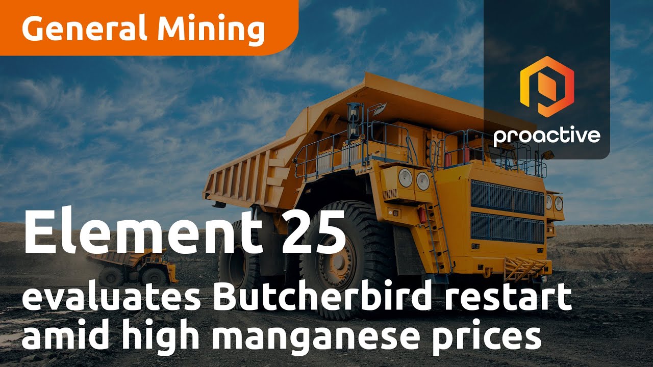 Element 25 evaluates Butcherbird restart amid high manganese prices
