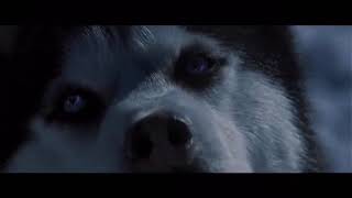 Unkle - Inside ❄️❤️