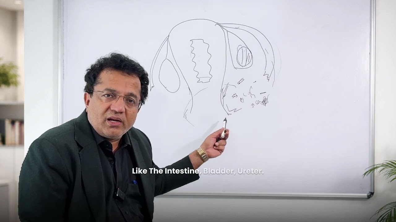 Endometriosis – Basics | Part 1 | Dr. B Ramesh
