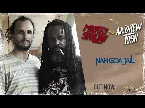 Mickey Souljah - Nah goa Jail feat. Andrew Tosh