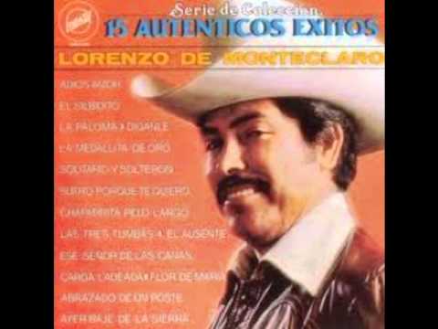 Abrazado De Un Poste video