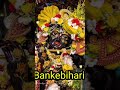 Jb Jb Bhi Ise Pukaru Mai Yt Shyam Youtubeshorts Bhaktibhajan Krishna Bihariji