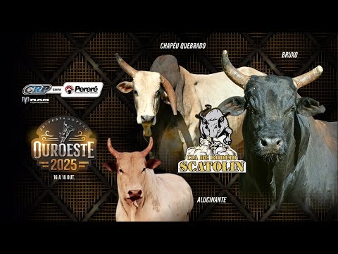 Rodeio de OUROESTE 2025 (S0RTEI0 / SÁBADO / SEMI FINAL)