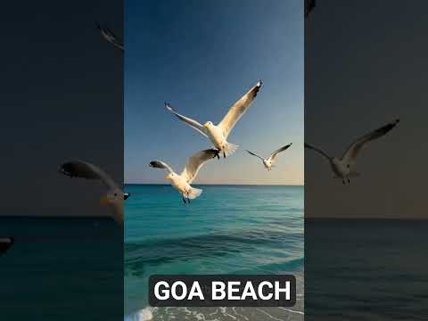 Goa Beaches 🌊 #goa #clanguage #bagabeach #travel #trip#dhurandhar #song#shortsfeed #shortvideo