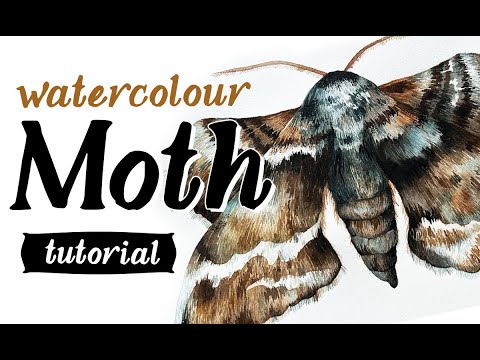 Watercolour Moth tutorial