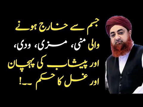 mani mazi aur wadi mein kya fark hai by mufti akmal | mani mazi aur wadi mein kya farq hai