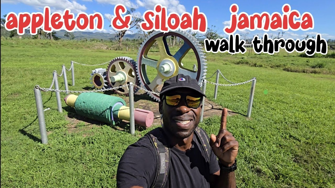 Walking to appleton estate for a rum tour plus siloah community walk through #jamaica #rum #life