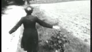 GENESIS   cindergarden