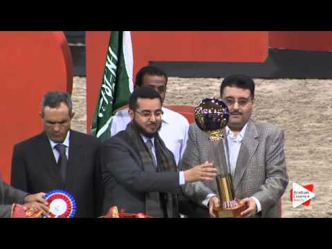 1ST place-N.2 REWAYAH ATHBAH - Paris 2015 - Yearling Fillies Championship (Class CM7)