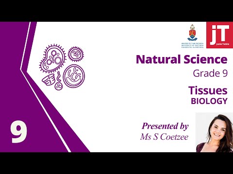 Grade 9 Natural Science - Biology - Tissues