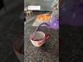 Make Purple Hot Chocolate With Me Hotchocolaterecipe Christmas Holiday Winterdrink Asmr Shorts