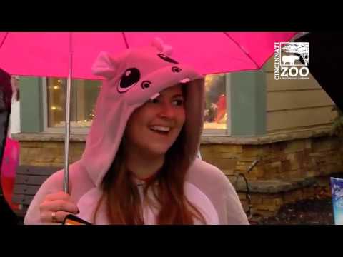 Fiona 1k at the Cincinnati Zoo