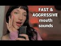 ASMR ౨ৎ˚⟡ FAST & AGGRESSIVE mouth sounds (tascam)