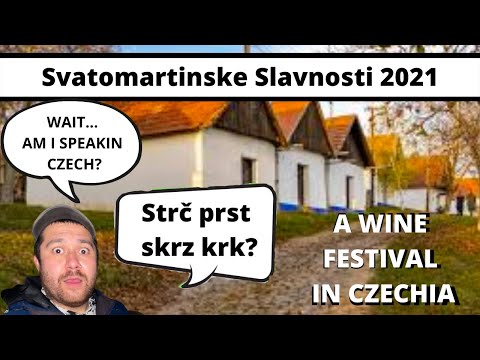 Come to a Czech Republic wine festival with me. I'll even speak Czech for you.