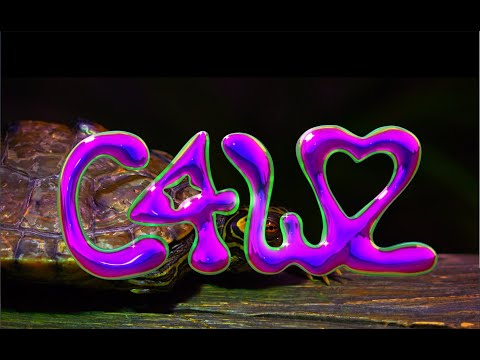 C4W2 - FWLO (prod by CBSM)
