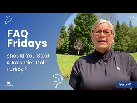 YouTube video about: Can I switch my dogs food cold turkey?