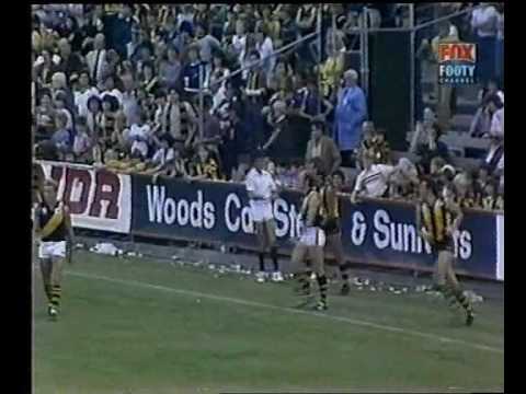 VFL R5 1982 - Hawthorn v Richmond