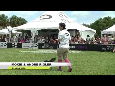 2013 IDC Eastern Regionals - Freestyle Flying Disc