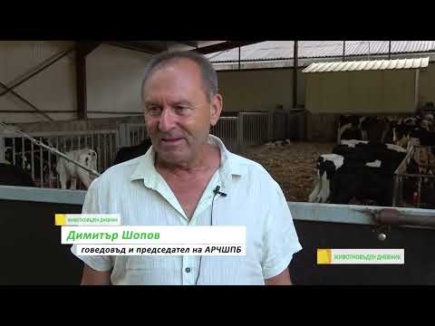 Животновъден дневник: Роботи премахват фактора "човешка грешка"