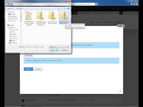 How to install a Skin in DotNetNuke 7