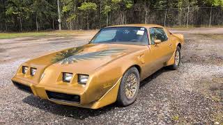  1979 Pontiac Firebird Trans Am Walk Around and Drive By