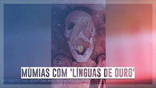 Miniatura do vídeo