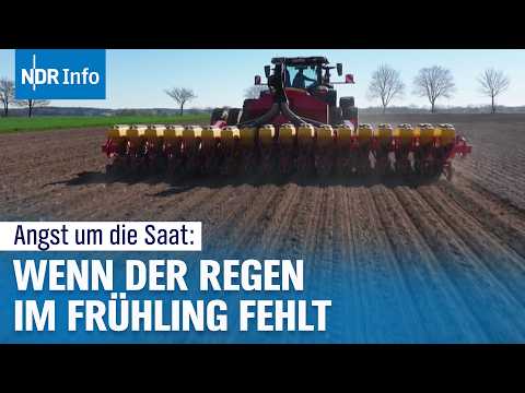 Video Thumbnail: Frühling zu trocken: Sorge um Felder wächst | NDR Info