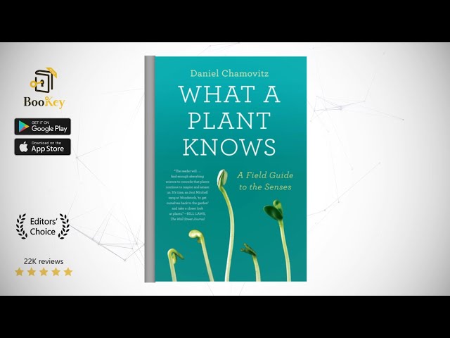Vídeo relacionado con La plante et ses sens