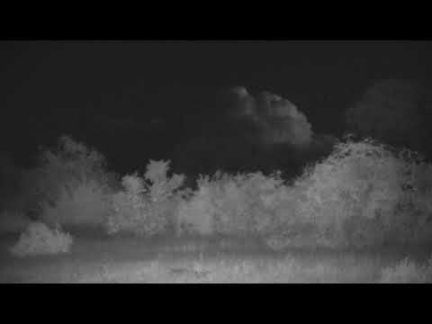 Djuma:  Odd looking storm cloud with lightning in it - 18:20 - 04/16/19