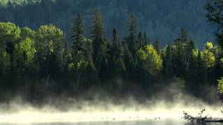 New World In The Morning - Roger Whittaker