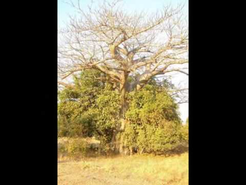 Smokie Haangala Kavundula Zambian Music