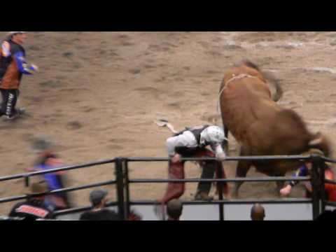 PBR @ MSG in NYC 2011 Travis Briscoe Gets A Re Ride Option