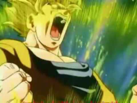 The Best Of --- Família Gracie