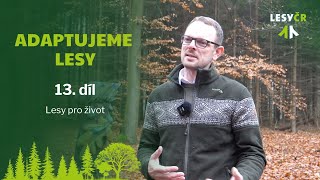 Adaptujeme lesy – 13. díl